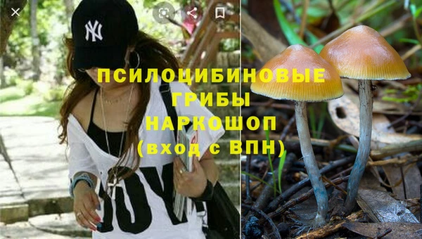 круглые Алексеевка