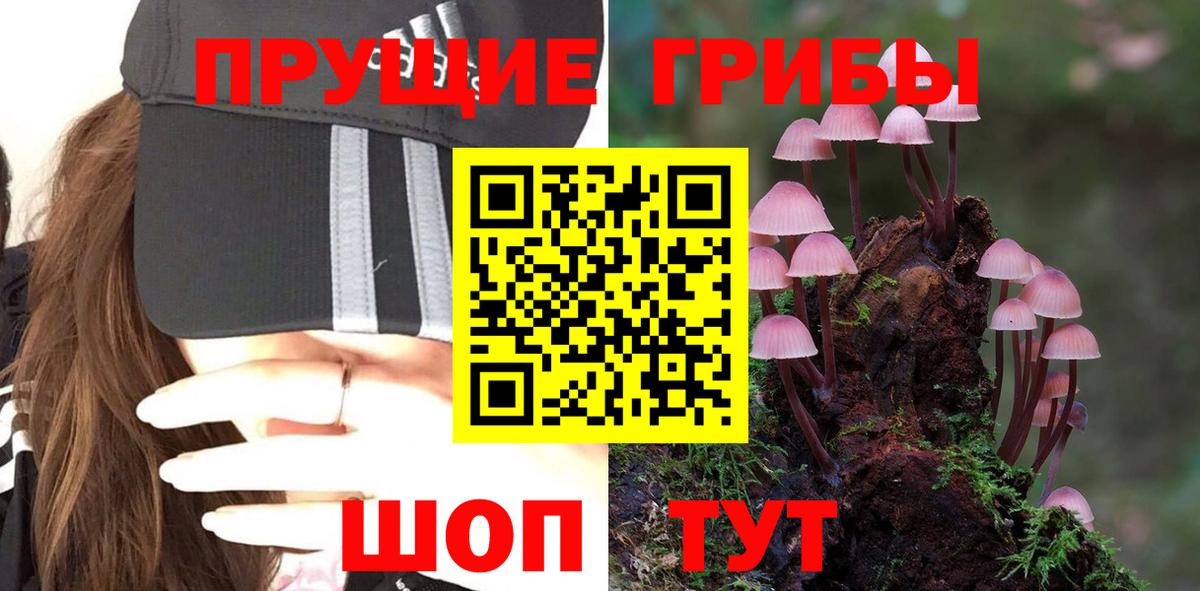 Псилоцибиновые грибы Magic Shrooms Саранск